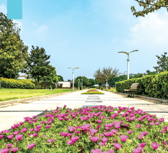 Parks, Play Grounds