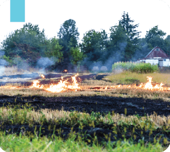 Agriculture - Stubble Burning in farms