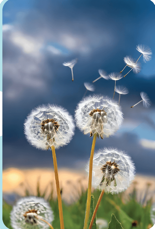 Abstract illustration of clean air filtering system